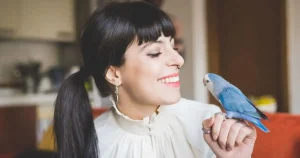 FCJ lança venture builder do setor pet em parceria com Anilhas Capri