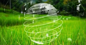 FCJ cria corporate venture builder de energias renováveis